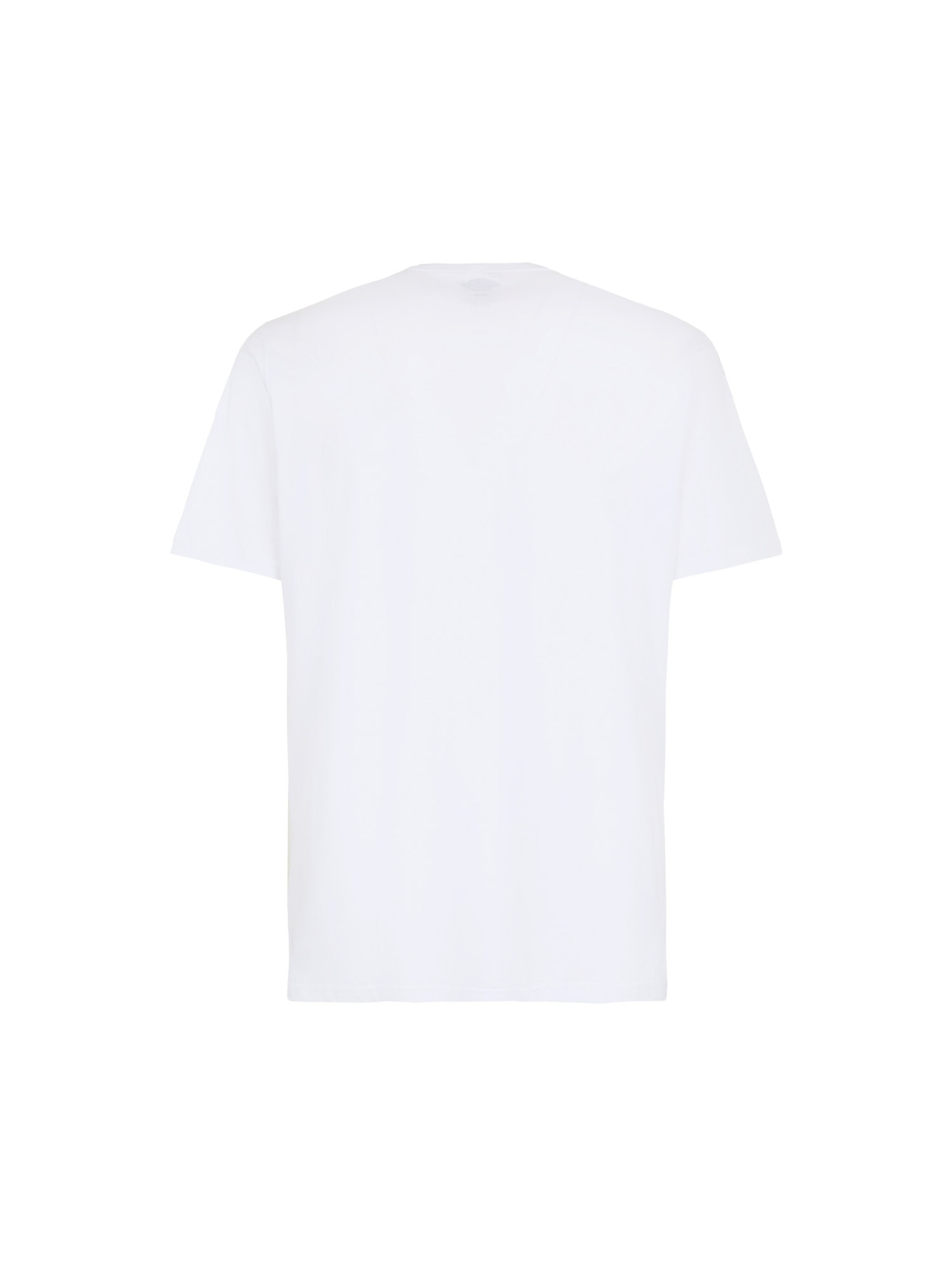 DICKIES Bluser & t-shirts 'AITKIN' i hvid