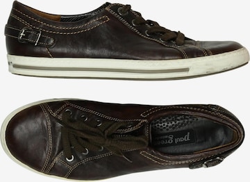 Paul Green Sneaker 38 in Braun: Vorderseite