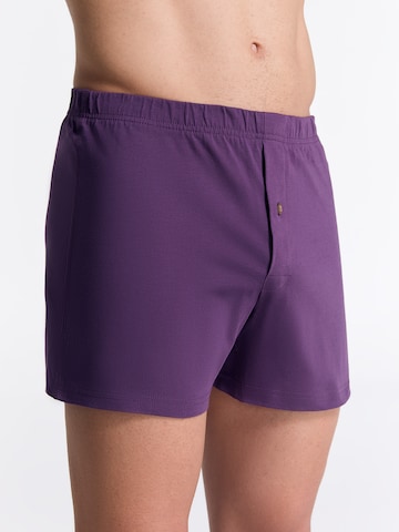 Albero Natur Boxershorts in Lila