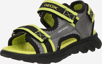 Calzatura aperta 'Airadyum' di GEOX in grigio: frontale