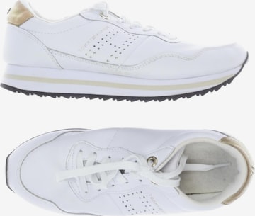 TOMMY HILFIGER Sneaker 39 in Weiß: Vorderseite