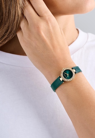 Ted Baker Analog Watch ' JOLYYE ' in Gold: front