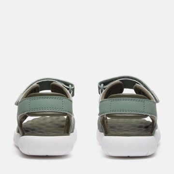 TIMBERLAND Sandals & Slippers in Green