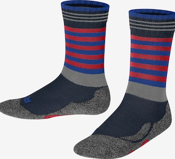 FALKE Socks 'Active Frog' in Blue: front