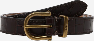 Curea POLO RALPH LAUREN pe ciocolatiu, Vizualizare produs