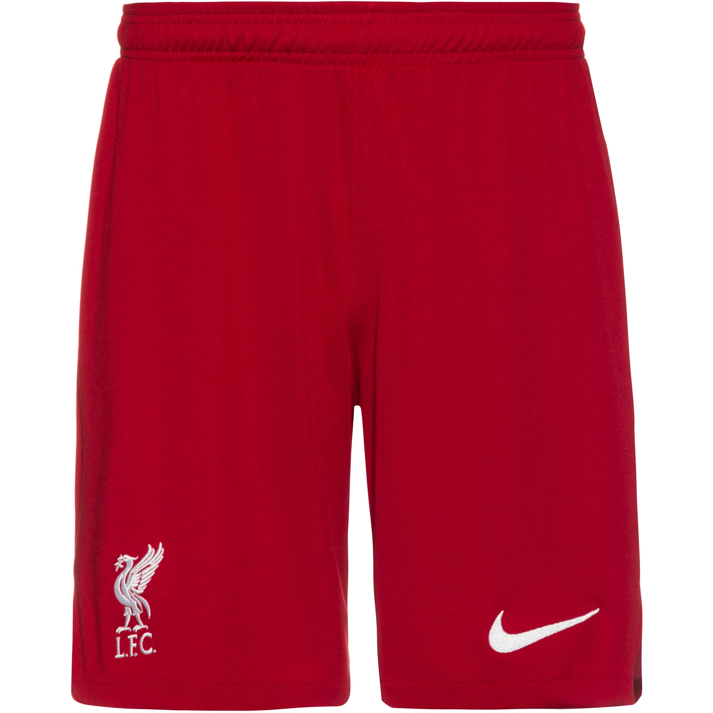 NIKE Skinny Sporthose 'FC Liverpool 22-23' in Rot: Vorderseite