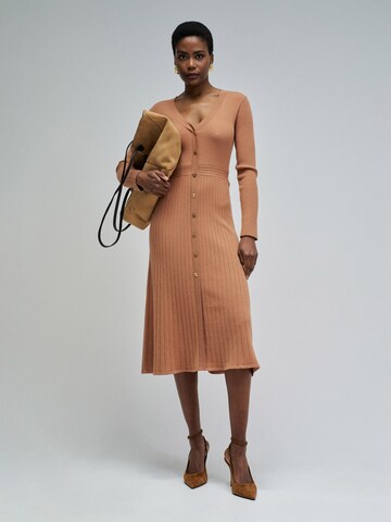 Salsa Jeans Jurk in Bruin