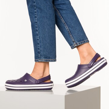 Crocs Klumpák 'Crocband' - lila