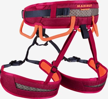 MAMMUT Klettergurt 'Ophir Fast Adjust Women' in Pink: predná strana