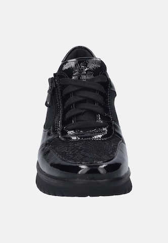 JOSEF SEIBEL Schnürschuh 'Calais 01' in Schwarz