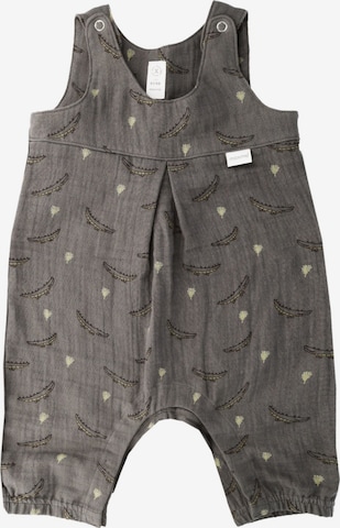 MAXIMO Overall in Grau: Vorderseite