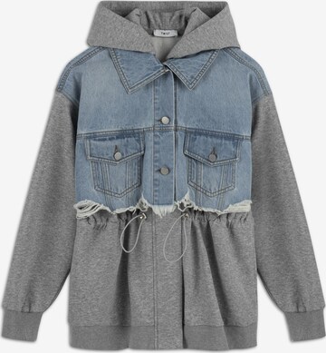 Twist Between-Season Jacket in Grey: front