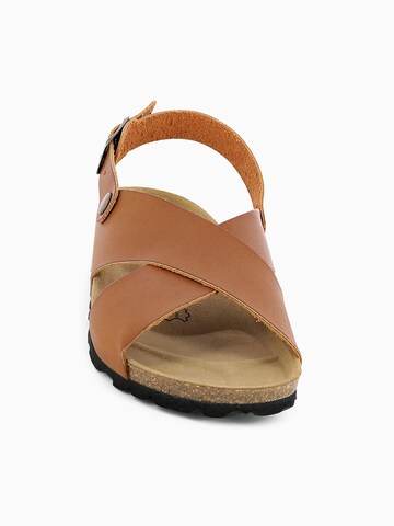 Bayton Sandals in Brown