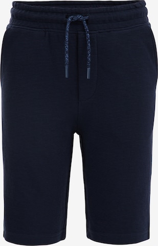 Pantaloni di WE Fashion in blu: frontale