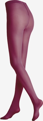 Collants 'Velvet 40' KUNERT en rouge : devant