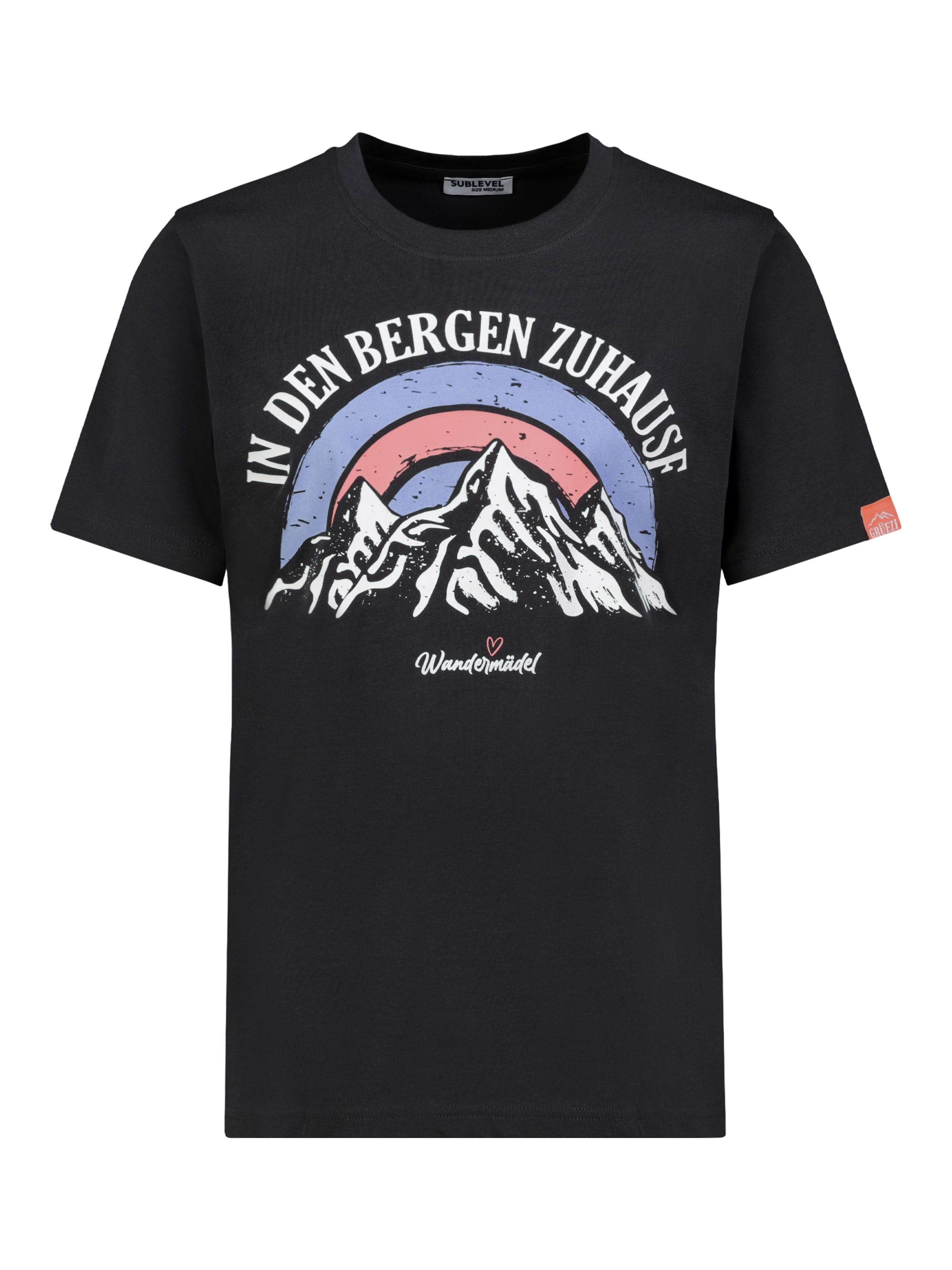 Sublevel Shirt in Grey: front