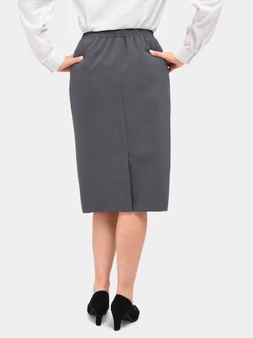 Goldner Skirt in Grey