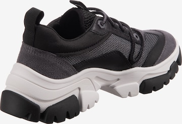 TIMBERLAND - Sapatilhas baixas 'Adley Way Oxford' em preto