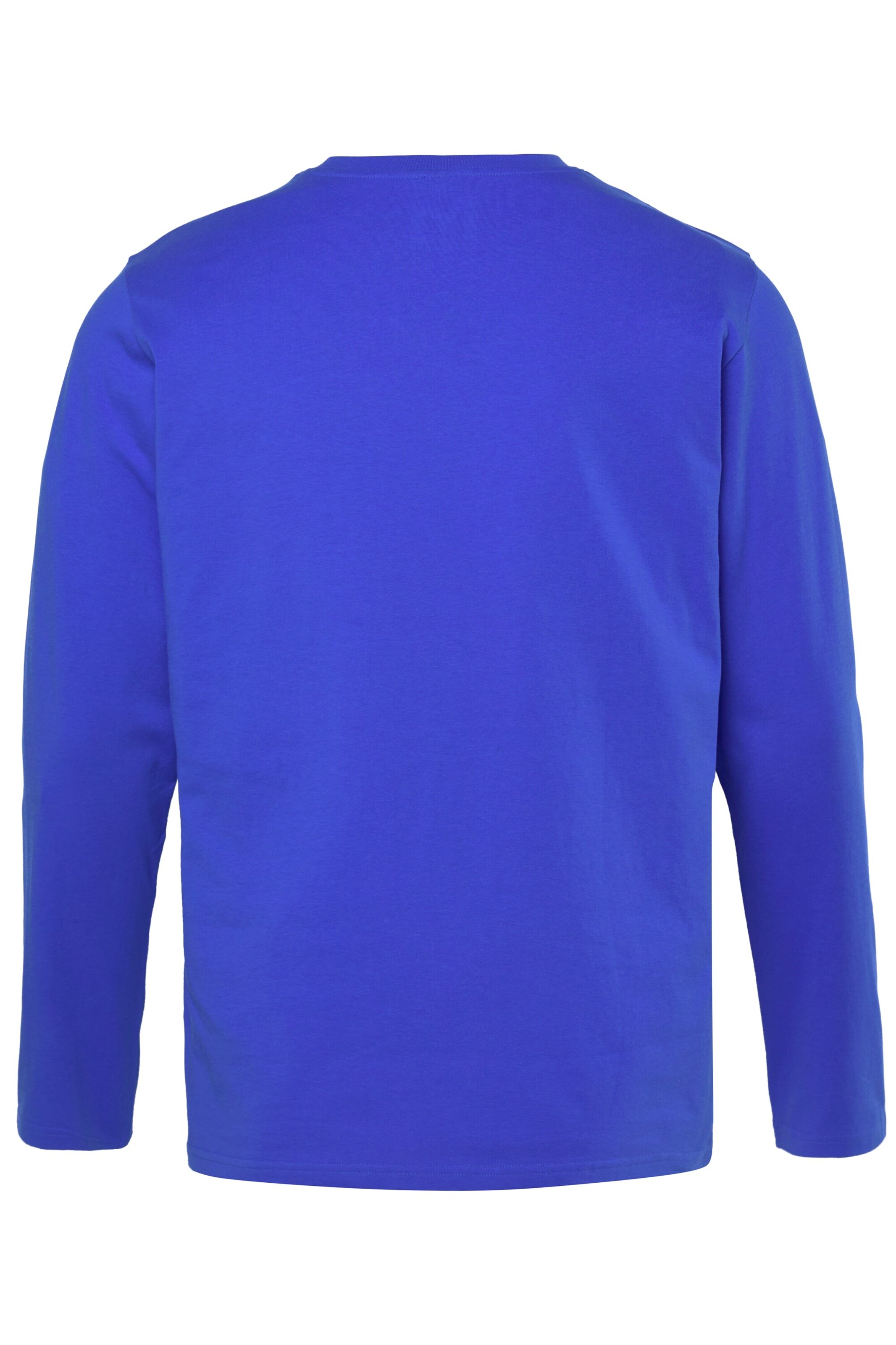 Men Plus Shirt in Blue