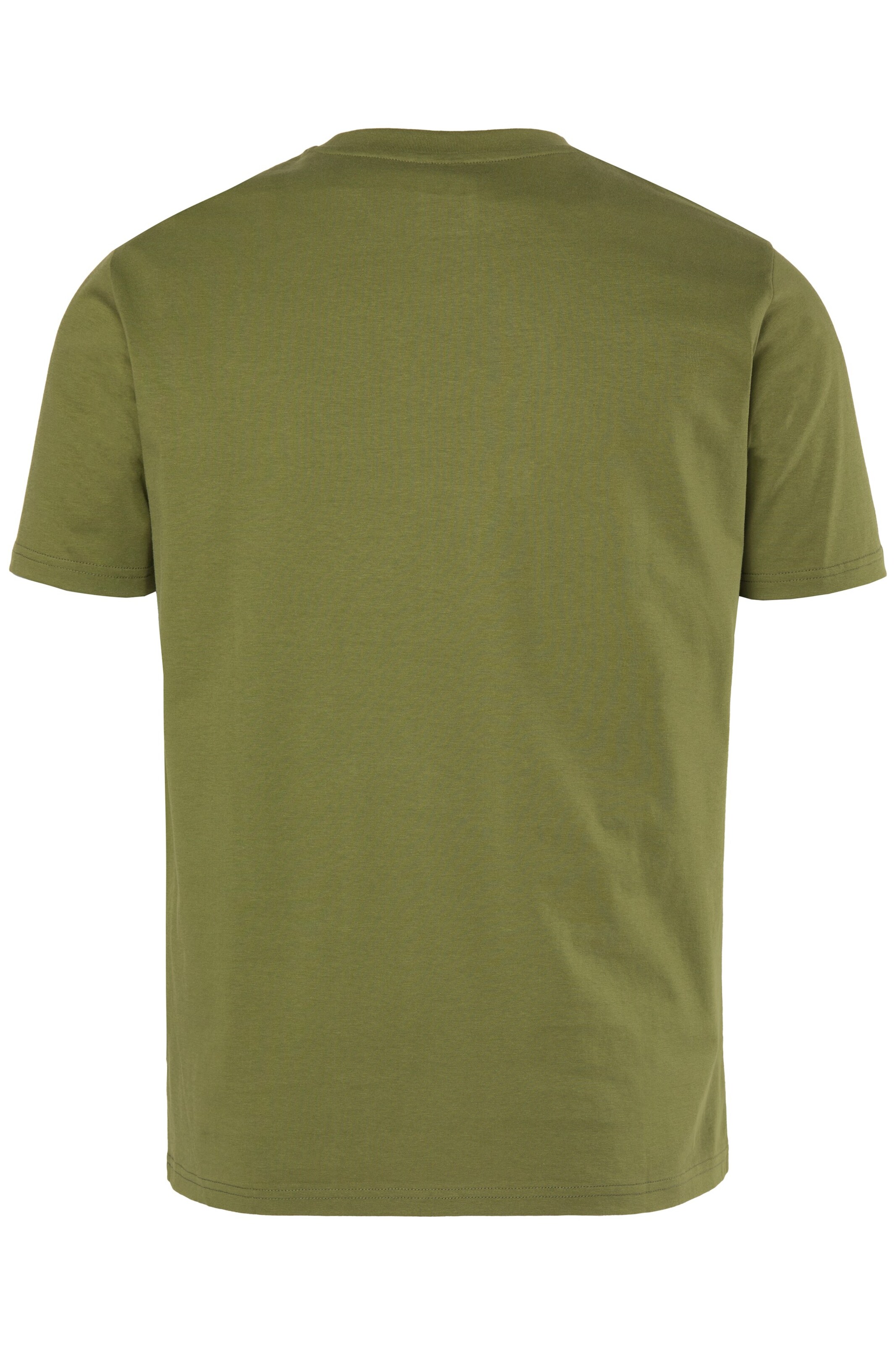 Men Plus Shirt in Green