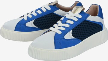 Crickit Sneakers laag 'OTIS' in Blauw