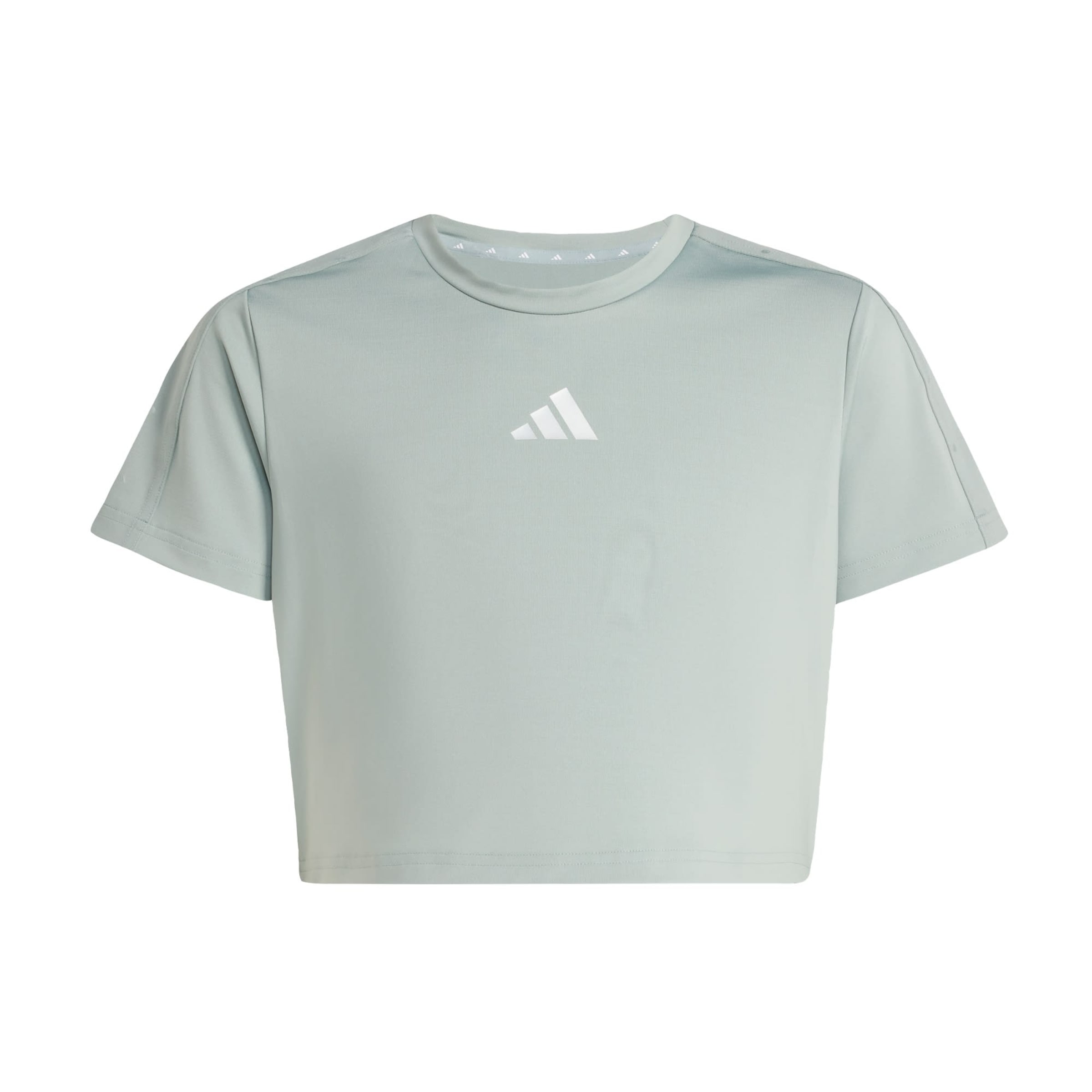 ADIDAS SPORTSWEAR Functioneel shirt 'Train Essentials Seasonal' in Groen: voorkant
