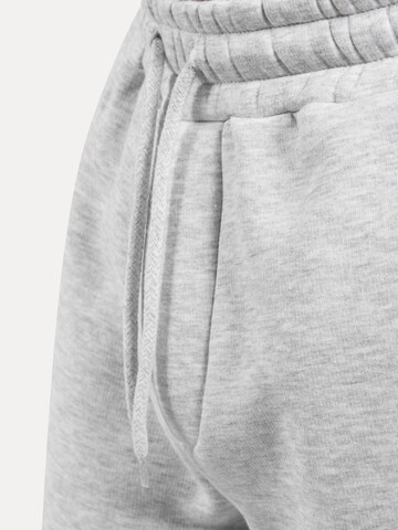 Effilé Pantalon Smilodox en gris