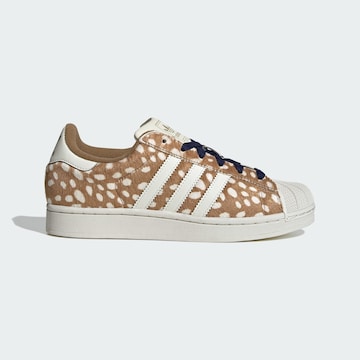 ADIDAS ORIGINALS Σνίκερ χαμηλό 'Superstar II' σε καφέ