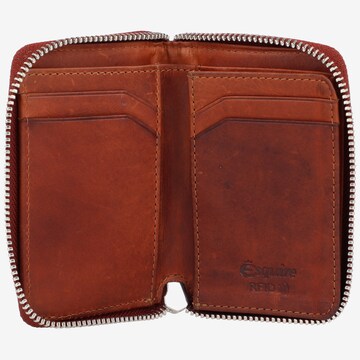 Esquire Wallet 'Oslo Dallas' in Brown