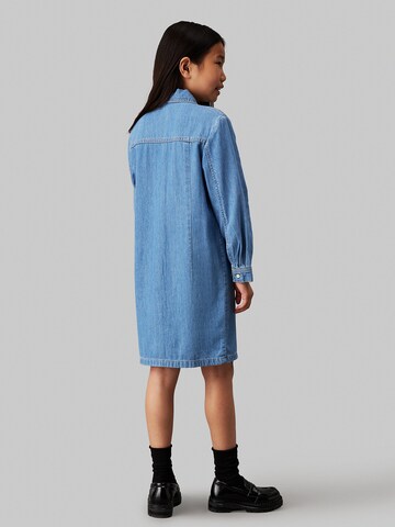Calvin Klein Jeans Dress in Blue