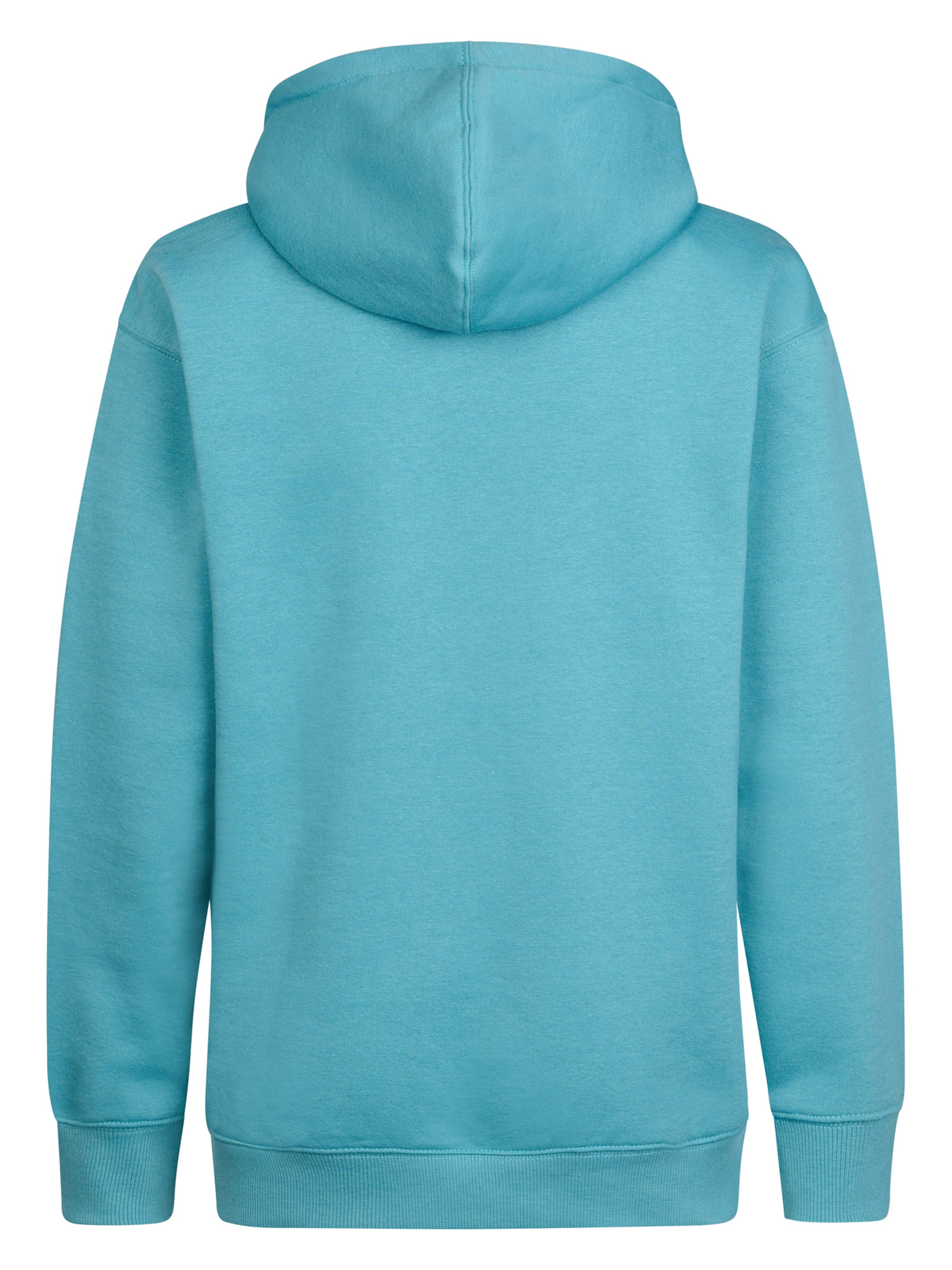 Petrol Industries Sweatshirt in Blau