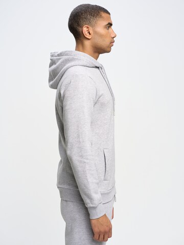 BIG STAR Sweatjacke 'AJRON' in Grau