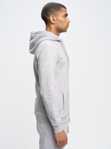 BIG STAR Sweatshirt 'AJRON' in Grey