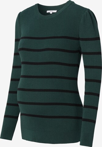 Noppies Sweater 'Pioche' in Green: front