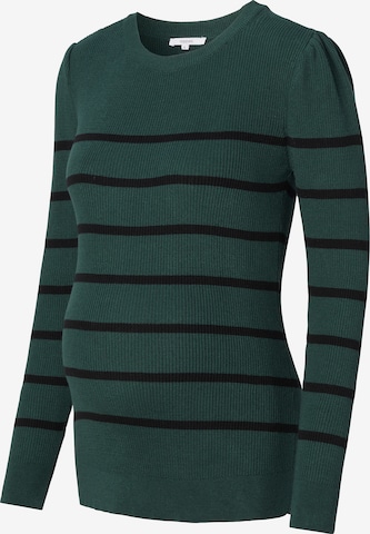 Noppies Sweater 'Pioche' in Green: front