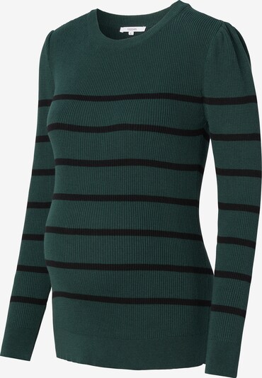 Noppies Pullover 'Pioche' in smaragd / schwarz, Produktansicht