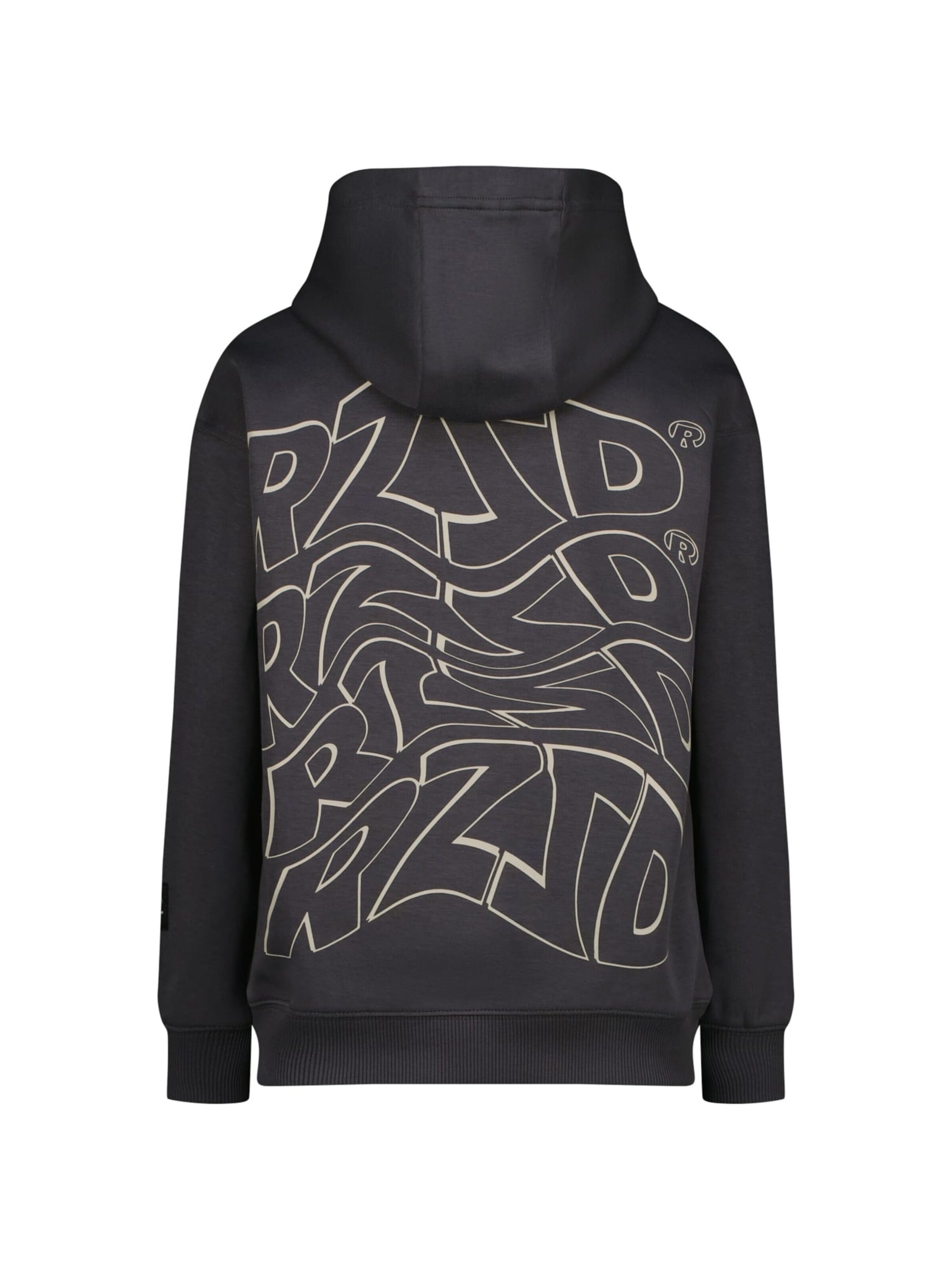 Raizzed Sweatshirt in Grijs