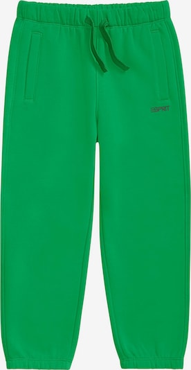 ESPRIT Pantalon en vert, Vue avec produit