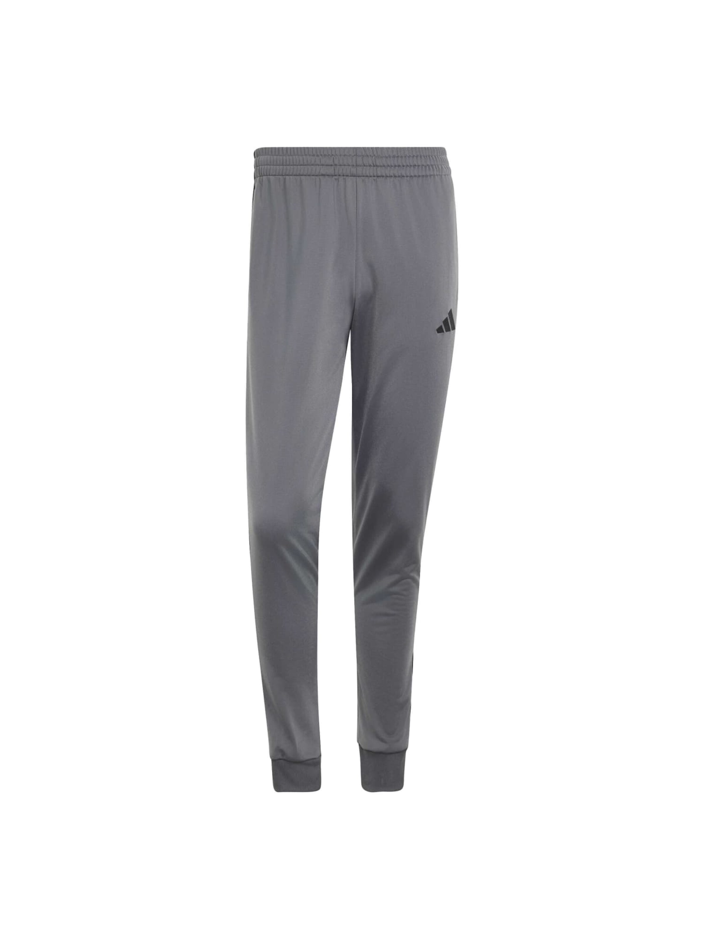 ADIDAS SPORTSWEAR Trainingsanzug 'DAYRDY' in Grau