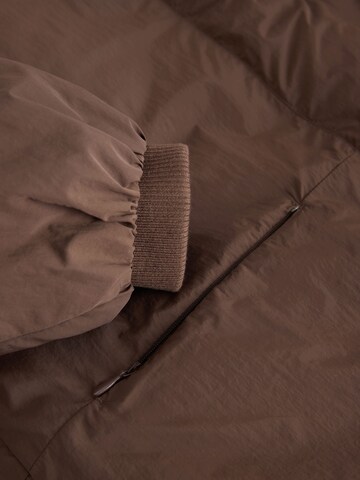 Next Winter Jacket in Brown
