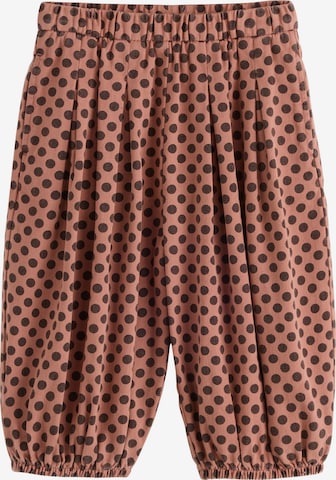 Barrel Pantalon Next en marron : devant