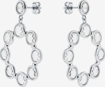 Ted Baker Earrings 'SARLA' in Silver