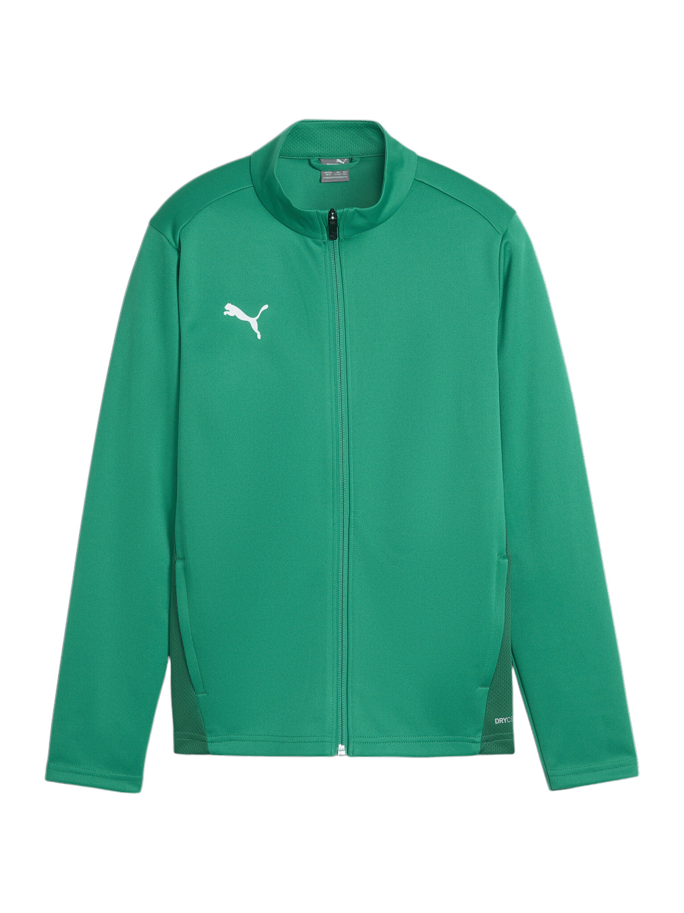 PUMA Trainingsjacke 'Team Goal' in Grün: Vorderseite