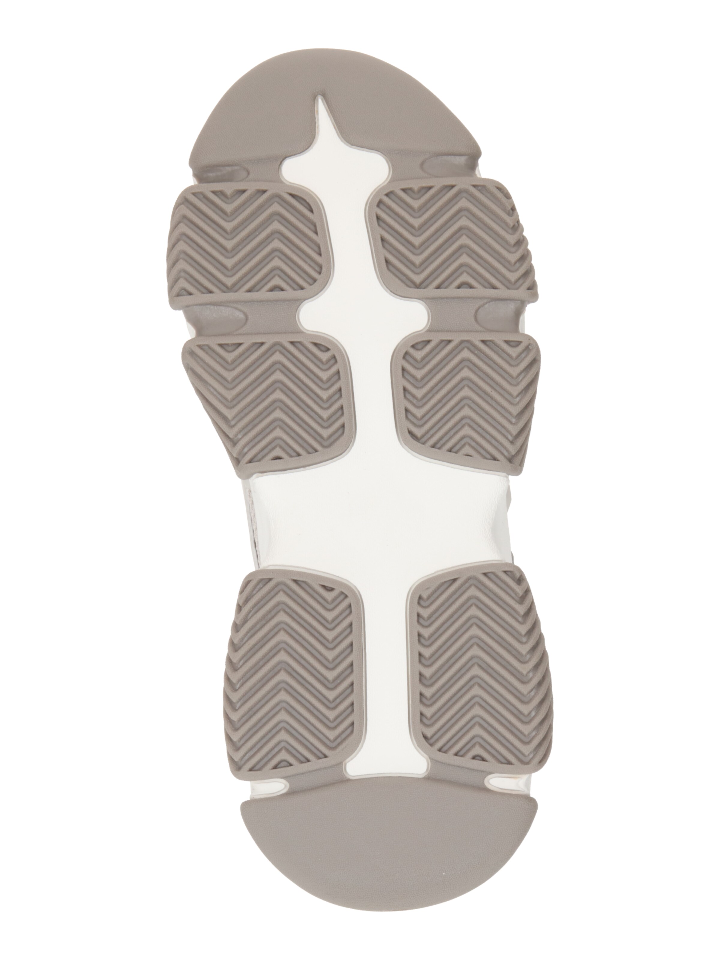 STEVE MADDEN Nízke tenisky 'POSSESSION' - Sivá