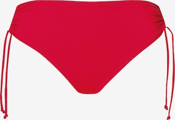 raudona SUNFLAIR Bikinio kelnaitės 'Mix&Match': priekis