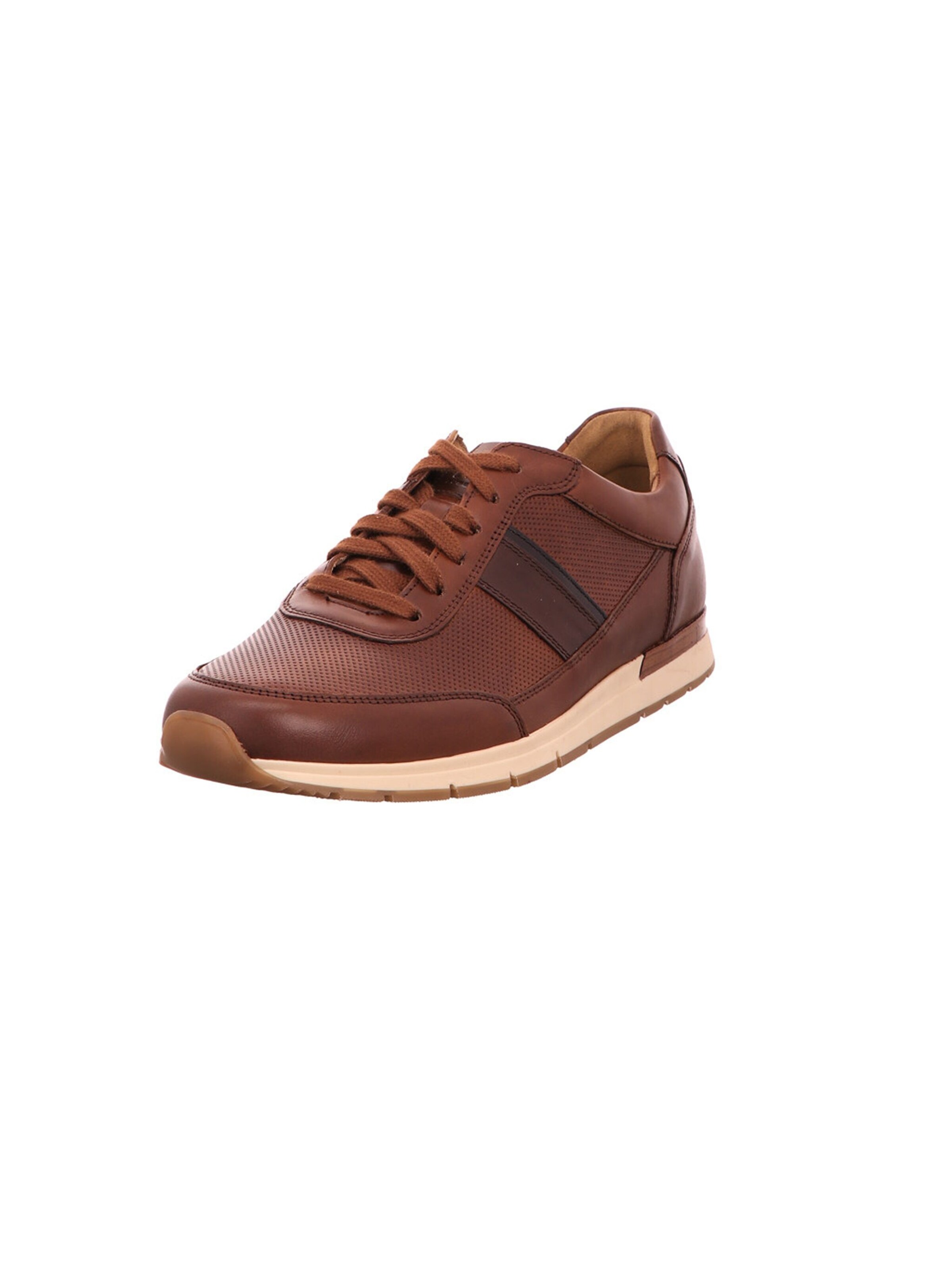 Pius Gabor Sneakers in Brown: front