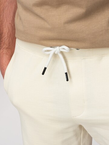 Ombre Regular Shorts in Mischfarben