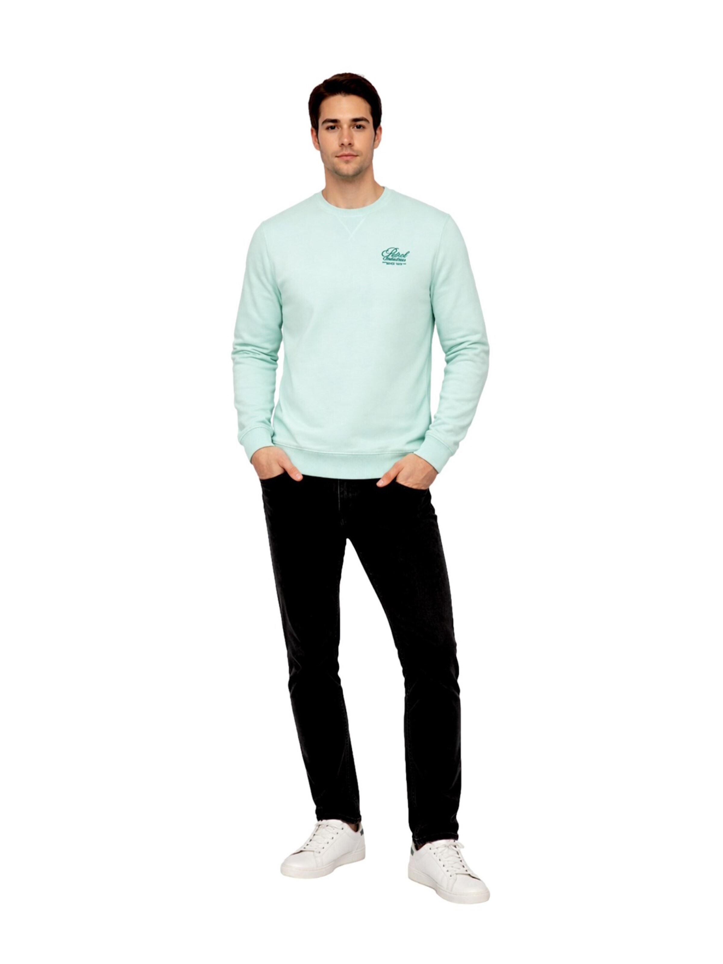 Petrol Industries Sweatshirt in Green