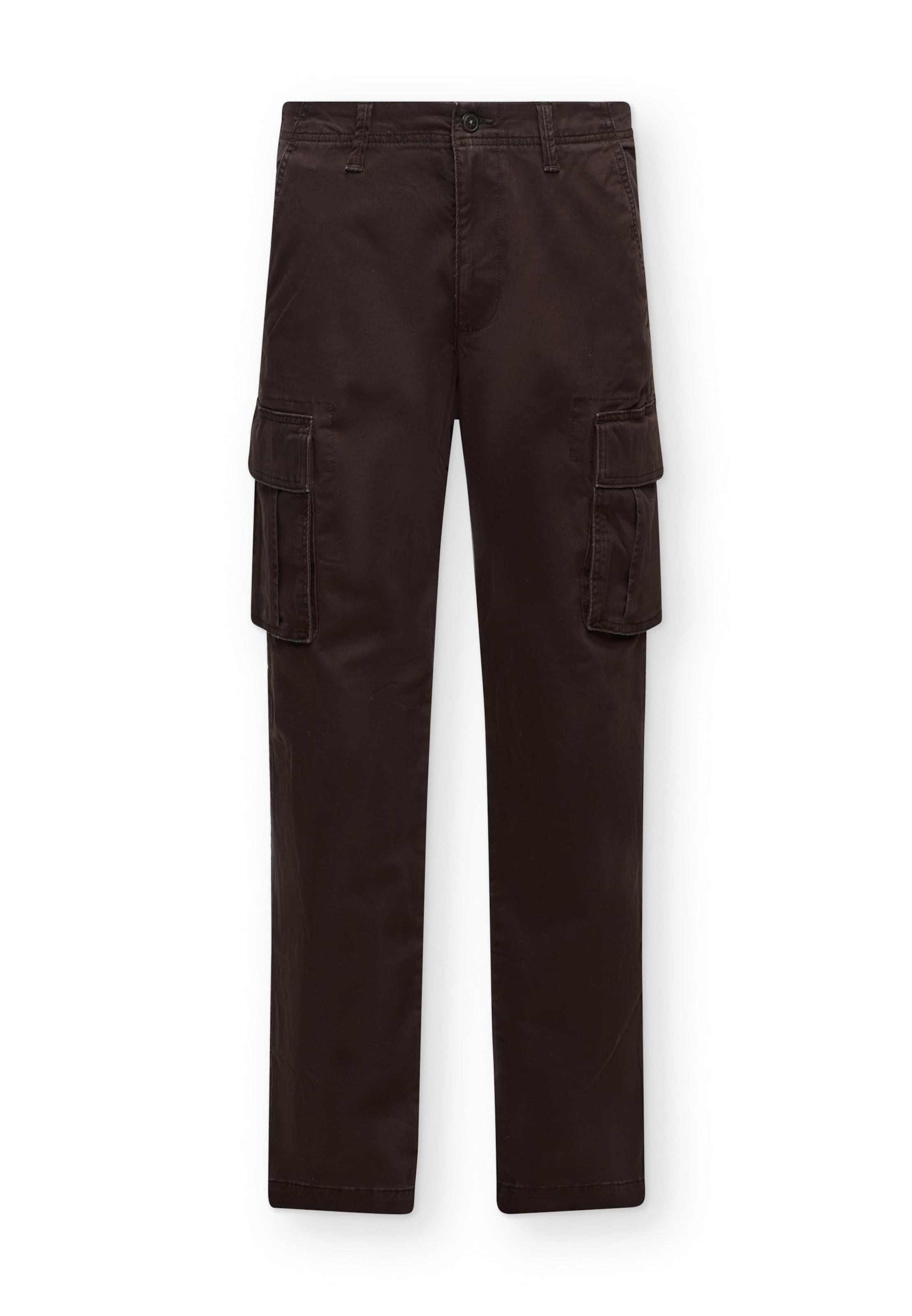 GAP Cargo Pants in Brown: front