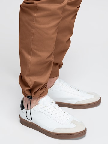 Ombre Regular Cargo Pants in Brown